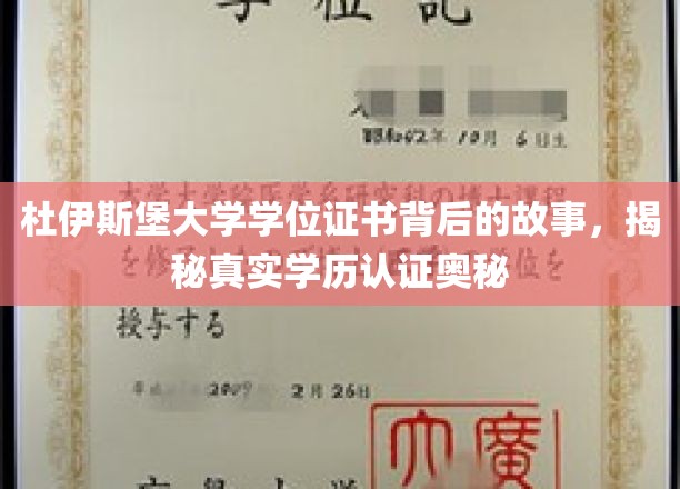 杜伊斯堡大学学位证书背后的故事，揭秘真实学历认证奥秘
