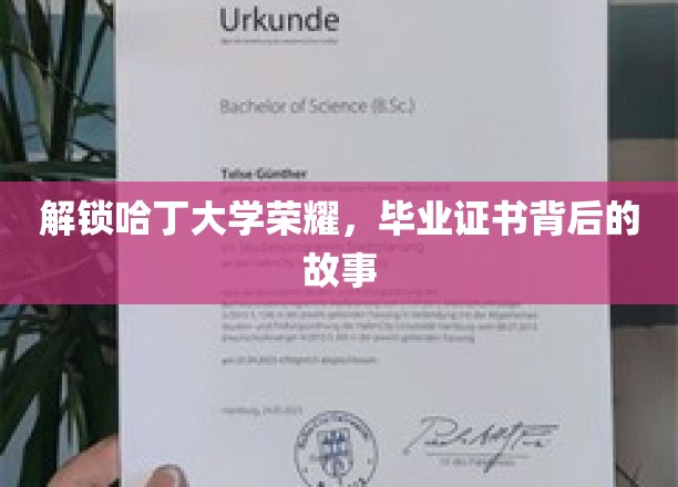 哈丁荣耀揭晓，探寻毕业证书背后的不凡历程