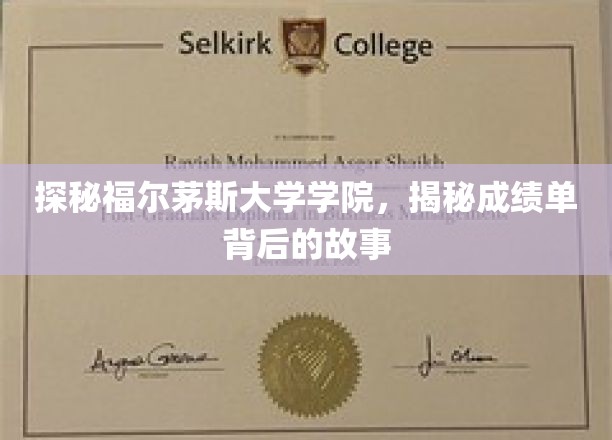 福尔茅斯学院揭秘，成绩单背后的传奇故事