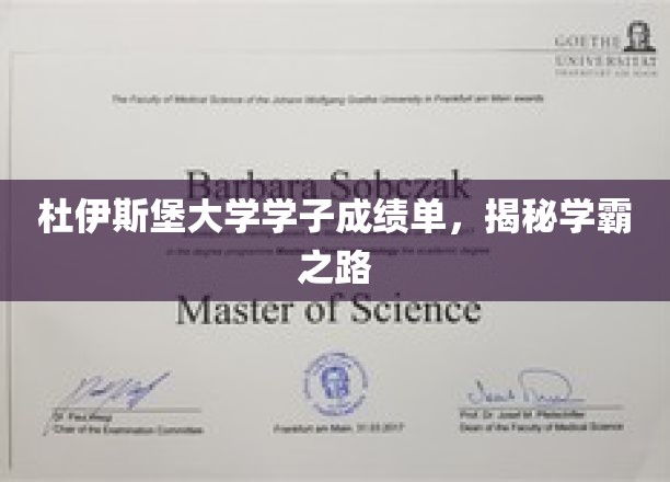 杜大精英学子，揭秘背后的学霸养成记