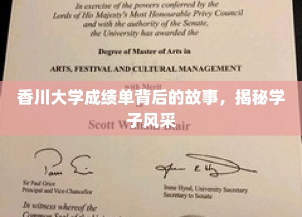 香川学子荣耀瞬间，揭开成绩单背后的璀璨人生