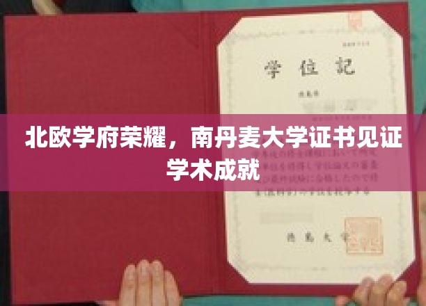 跨越北欧巅峰，南丹麦大学荣耀证书见证卓越学术之旅