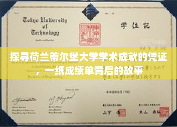 荷兰蒂尔堡大学成绩单，解锁学术传奇的神秘钥匙
