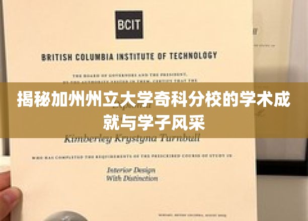 揭秘加州州立大学奇科分校的学术成就与学子风采