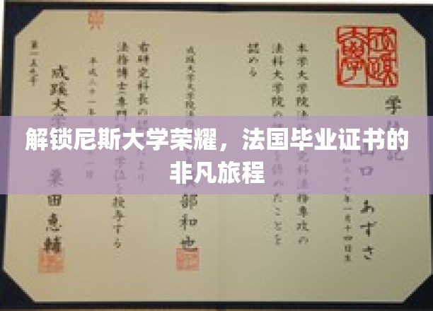 尼斯荣耀之旅，探寻法国毕业证书背后的非凡故事