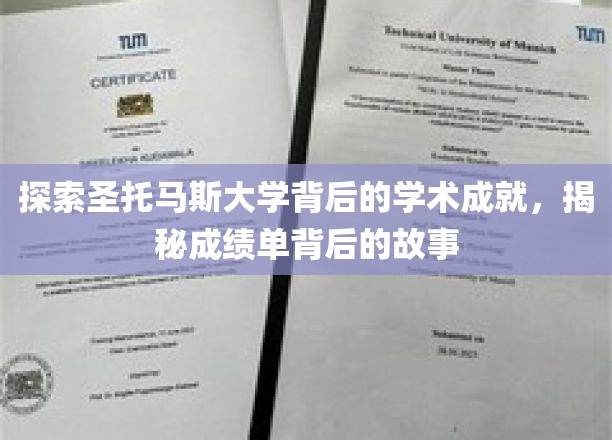 探索圣托马斯大学背后的学术辉煌，揭秘成绩单背后的故事