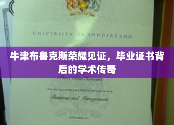 牛津布鲁克斯荣耀见证，毕业证书背后的学术传奇