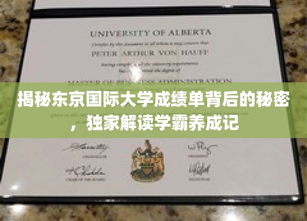 解码东京国际大学学霸之路，揭秘成绩单背后的精彩故事