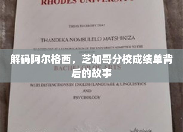 揭开芝加哥分校神秘面纱，阿尔格西成绩单背后的传奇解读