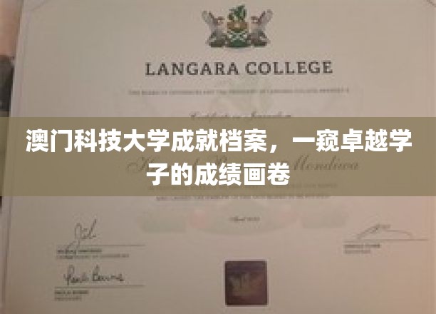 澳门科技大学精英风采，揭秘学子的卓越成就之旅