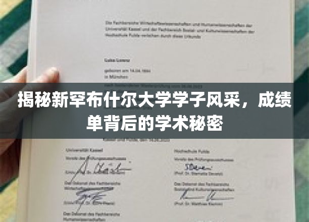 新罕布什尔大学学子揭秘，揭秘学霸背后的学术奥秘