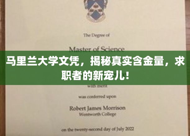 马里兰大学文凭魅力探秘，求职市场上的香饽饽！