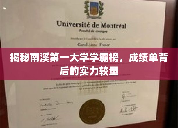 深度解析南溪第一大学学霸风采，探寻成绩单背后的实力与智慧