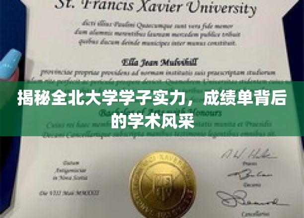揭秘全北大学学子实力，成绩单背后的学术风采