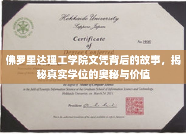 佛罗里达理工学院文凭背后的故事，揭秘真实学位的奥秘与价值