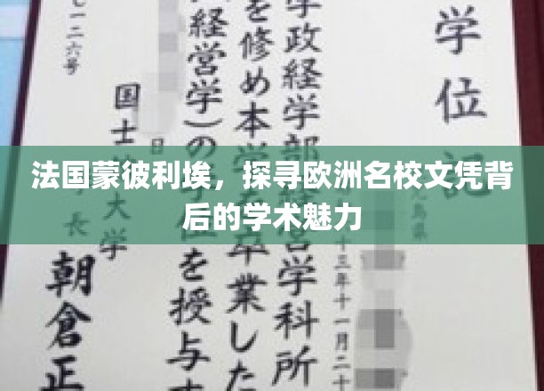 解码蒙彼利埃，欧洲名校文凭的学术魅力之旅