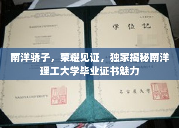 南洋骄子，荣耀见证，独家揭秘南洋理工大学毕业证书的魅力