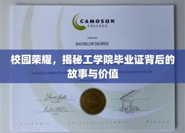 解码荣耀，工学院毕业证背后的传奇与价值揭秘