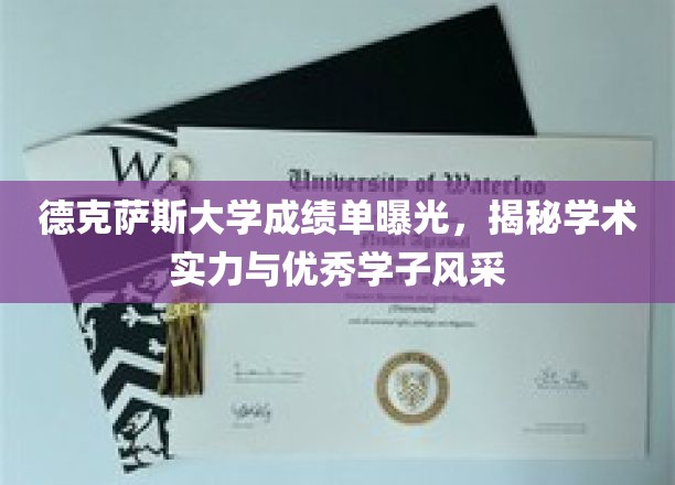 德克萨斯大学成绩单大公开，一窥学术精英风采与实力展现