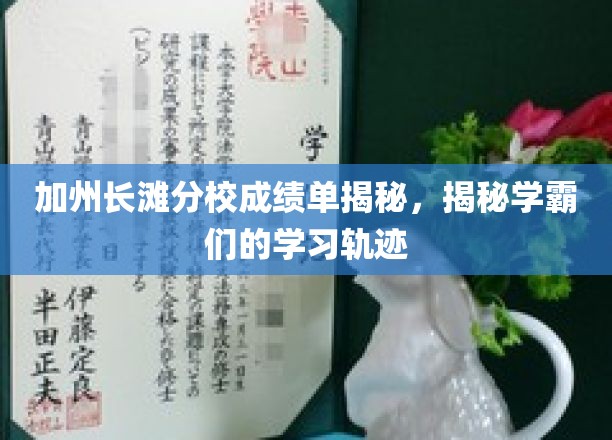 加州长滩学霸秘籍，揭秘成绩单背后的学习之道