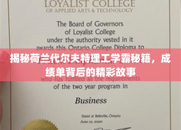 荷兰代尔夫特理工学霸养成记，探寻成绩单背后的传奇人生