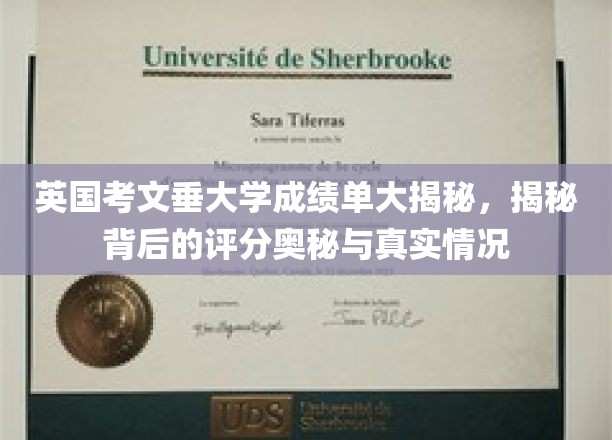 英国考文垂大学成绩单大揭秘，揭秘背后的评分奥秘与真实情况