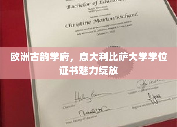 穿越文艺复兴的殿堂，意大利比萨大学学位证书的古典风华