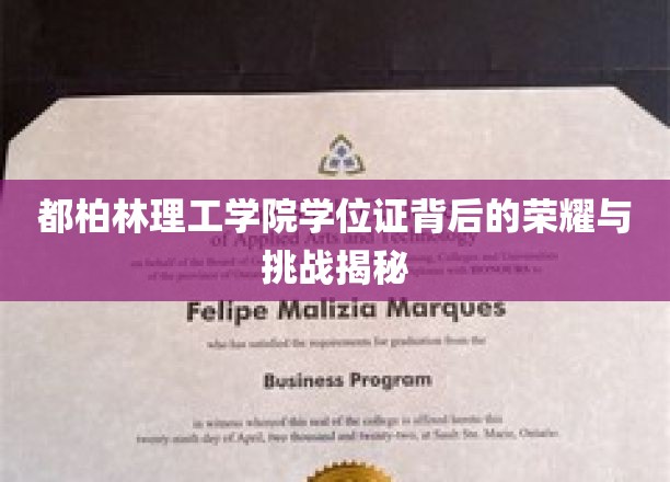 解码都柏林理工学院学位证的辉煌历程，荣耀与挑战并存