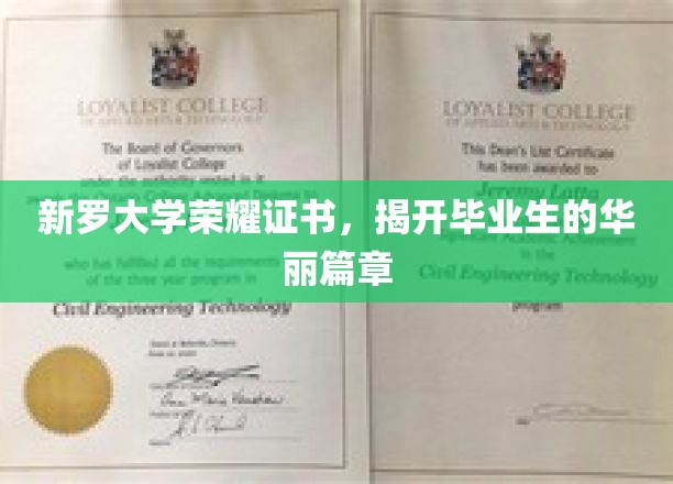 新罗荣耀证书映照，毕业生开启璀璨未来篇章
