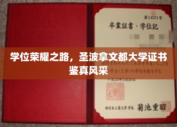 学位璀璨，圣波拿文都大学证书闪耀全球风采