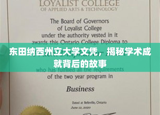 东田纳西州立大学文凭，揭秘学术成就背后的故事
