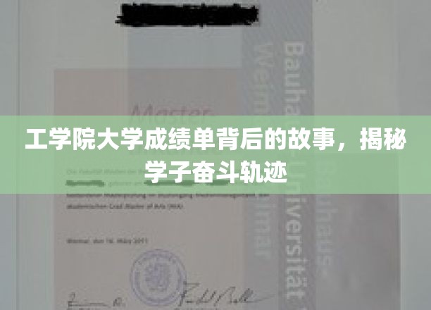工学院大学成绩单背后的故事，揭秘学子奋斗轨迹