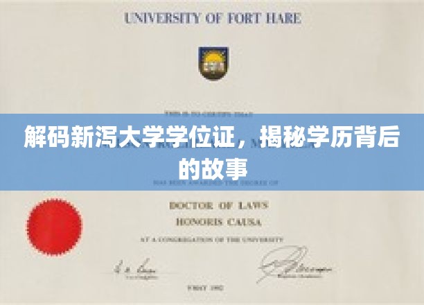 揭秘新泻大学学位证书，探寻学历背后的故事