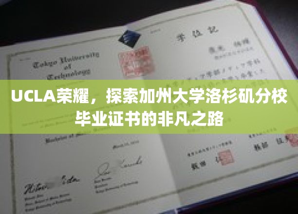 解码UCLA荣耀，揭秘加州大学洛杉矶分校毕业证书背后的非凡旅程