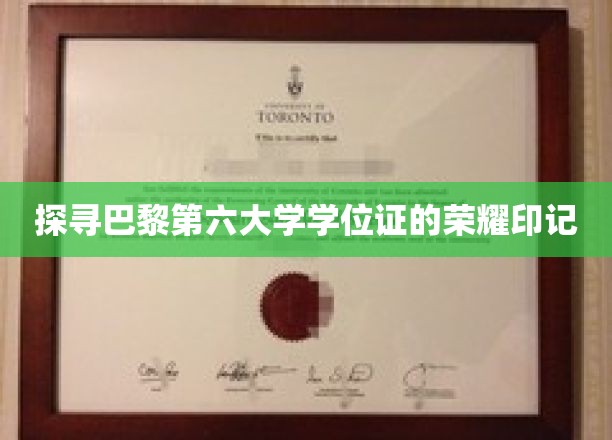 巴黎第六大学学位证，揭秘荣耀背后的独特印记