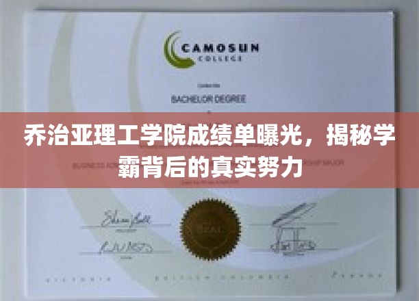 揭秘乔治亚理工学院学霸，成绩单背后隐藏的努力真相