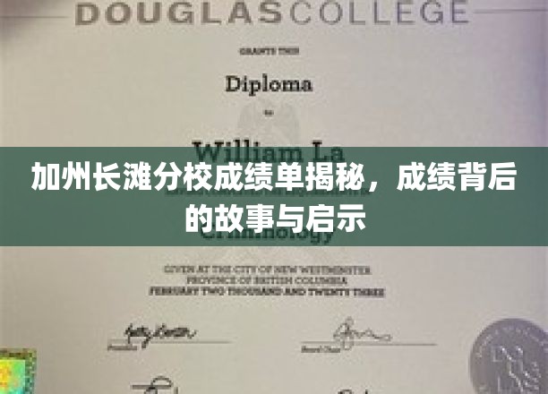 解码加州长滩分校成绩单，揭秘学海航程中的精彩瞬间与智慧火花