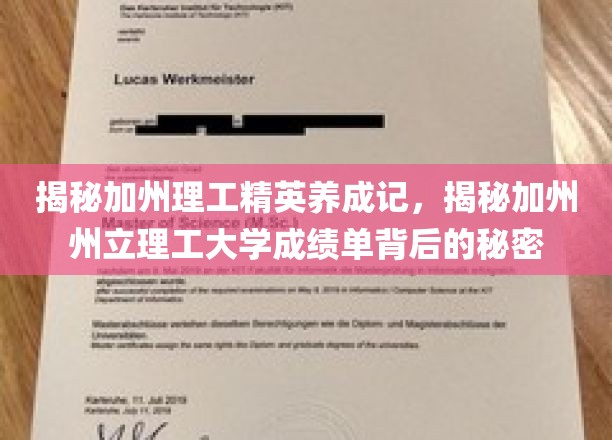 揭秘加州理工精英养成记，一探加州州立理工大学成绩单背后的奥秘