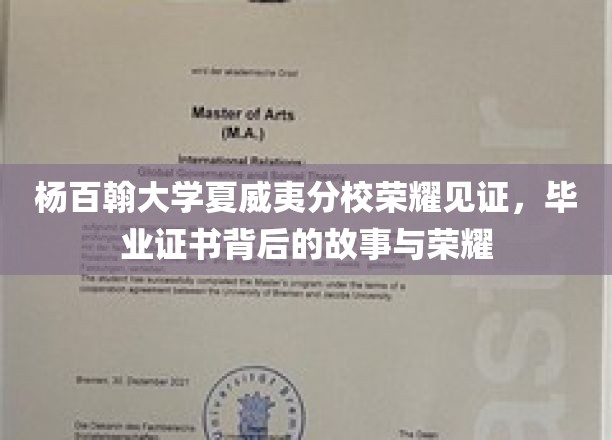 杨百翰大学夏威夷分校荣耀见证，毕业证书背后的故事与荣耀