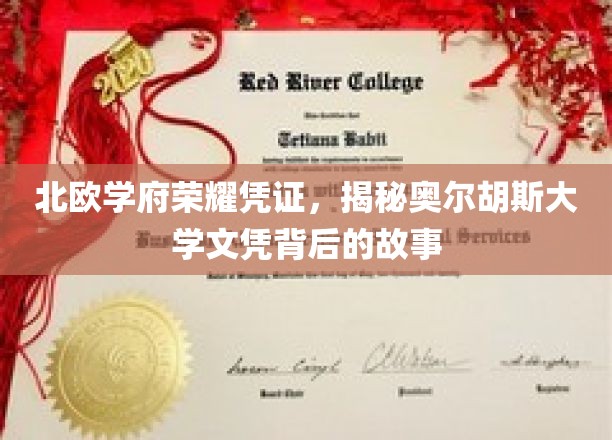揭开北欧名校光环，奥尔胡斯大学文凭背后的传奇之旅