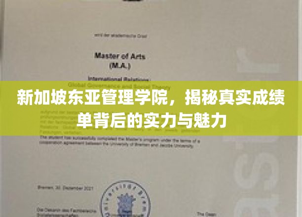 解码新加坡东亚管理学院，成绩单背后的卓越风采与独特魅力