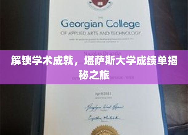 探索知识宝藏，堪萨斯大学成就档案深度解析