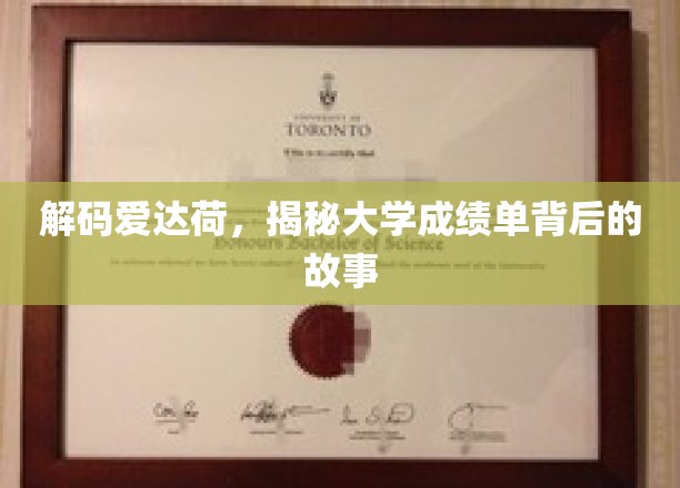 解码爱达荷，揭示大学成绩单背后的故事