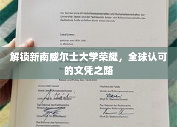 探索新南威尔士大学卓越之路，国际认可的学位之旅