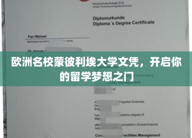 蒙彼利埃大学荣耀文凭，助你跨越留学梦想新起点
