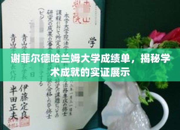 谢菲尔德哈兰姆大学成绩单，揭秘学术成就的实证展示