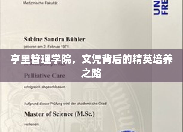 解码精英摇篮，亨里管理学院文凭背后的卓越培育之道