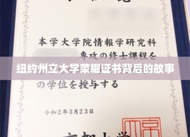 解锁纽约州立大学荣耀证书的神秘面纱
