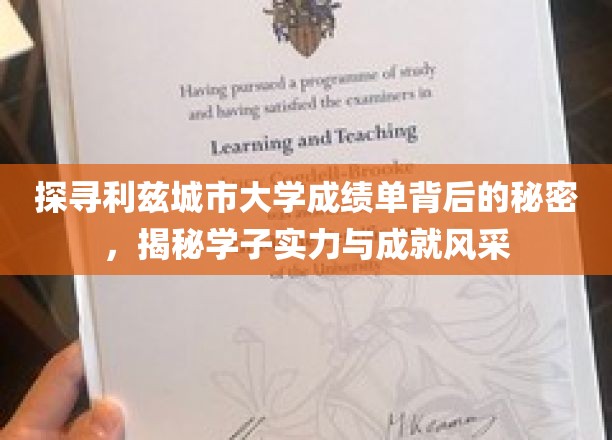 深入挖掘利兹城市大学成绩单的内涵，一窥学子实力与成就之光