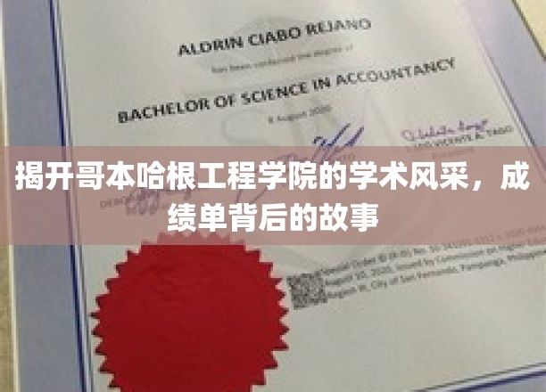 哥本哈根工程学院，揭秘学霸背后的卓越之路
